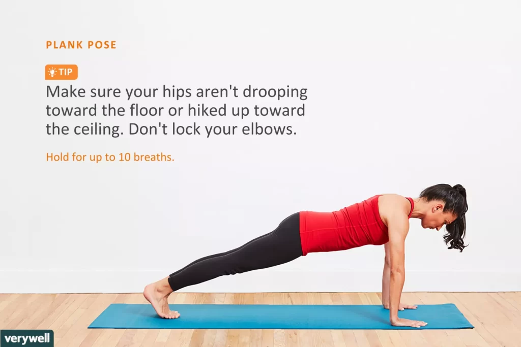 plankpose_annotations1-5be60d7d46e0fb0026375f56 (1)