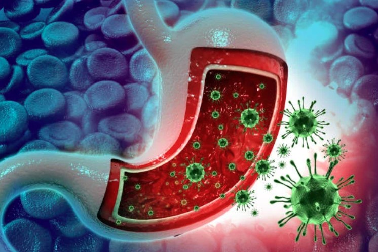 wellhealthorganic.com : key signs of gastroenteritis key