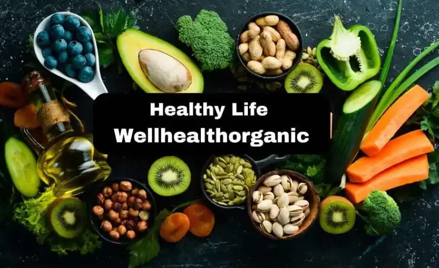 healthy life wellhealthorganic healthy life wellhealthorganic